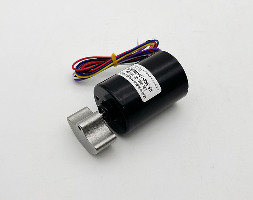 12v 4000 obrotów na minutę bezszczotkowy silnik elektryczny duży prędkości BLDC 3650 OEM ODM